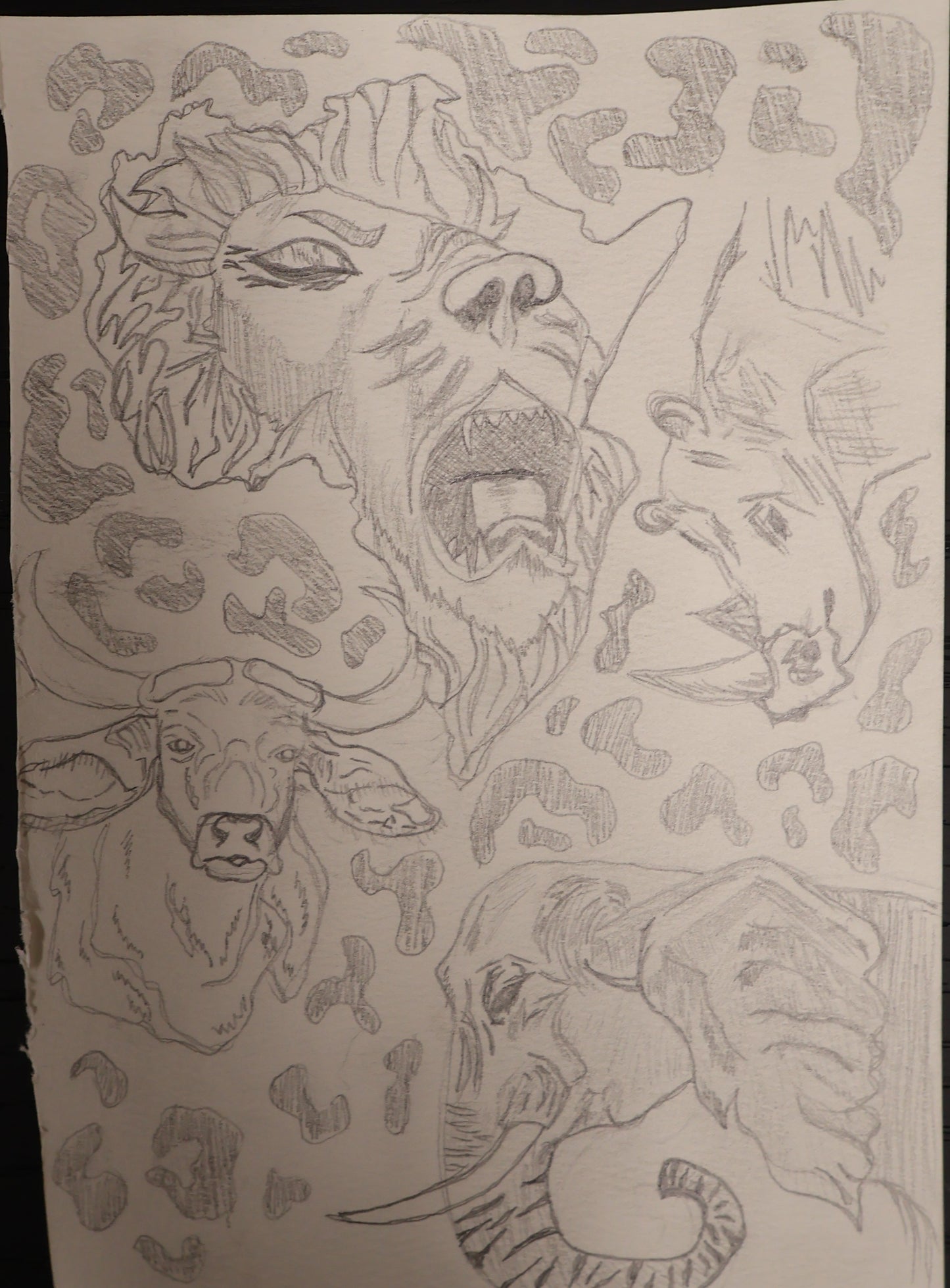 Animals of the Earth