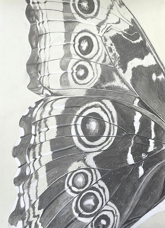 Natural Forms